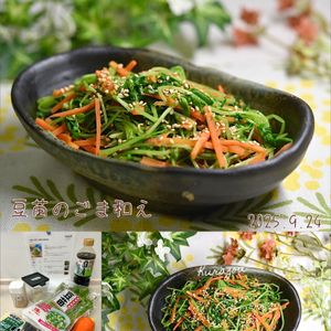 クラ蔵の作ってみた!投稿(【豆苗のごま和え】豆苗嫌いな娘が完食！)