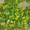 小松菜わかめごはんの工程5