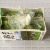 【切ったら感動!】緑野菜のテリーヌ・白だし仕立ての工程7