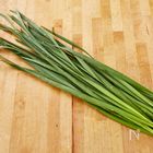 炒めても、生でも美味しい。スタミナ野菜・ニラで夏を元気に!
