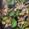 1434936の作ってみた!投稿(我が家の定番！【豚なすピーマンの甘味噌炒め 】)