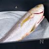 エアフライヤーCOSORIで簡単!魚の焼き方4選の工程5