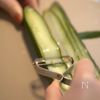 食卓が一気に華やぐおつまみ‼︎『きゅうりの生春巻き』の工程1