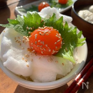ねっとり濃厚〝旨味玉ごはん〟冷凍たまご | レシピサイトNadia