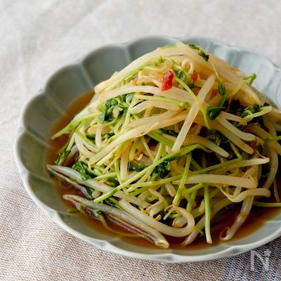 【レンジで簡単♪豆苗ともやしのピリ辛だれ】節約にも○
