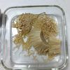 【ピリ辛コチュジャン味のえのき】火を使わずレンジで即完成～！の工程1