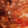 簡単！安くて旨い♪牛バラ肉のケチャップ煮の工程5