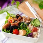 4抜き【高野豆腐の肉巻き弁当】小麦・植物油・乳・砂糖不使用