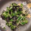 たりおの作ってみた!投稿(『カイワレのりポンサラダ』和えるだけ！)