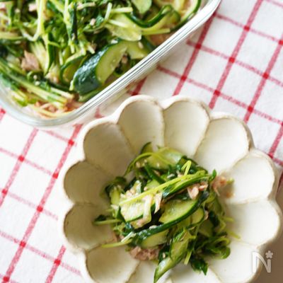 【5分】おつまみ・お弁当・副菜に「豆苗ときゅうりのツナ和え」