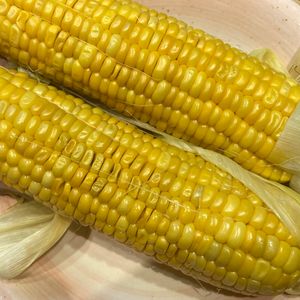 くだもの大好き🧡の作ってみた!投稿(【保存版もうゆでない】本当においしいゆでないとうもろこし)