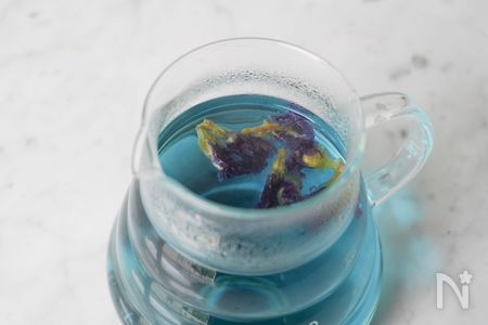 自由研究コラム（11）