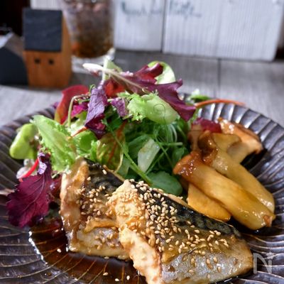 \お酢でさっぱり/サバとエリンギのさっぱり照り焼き