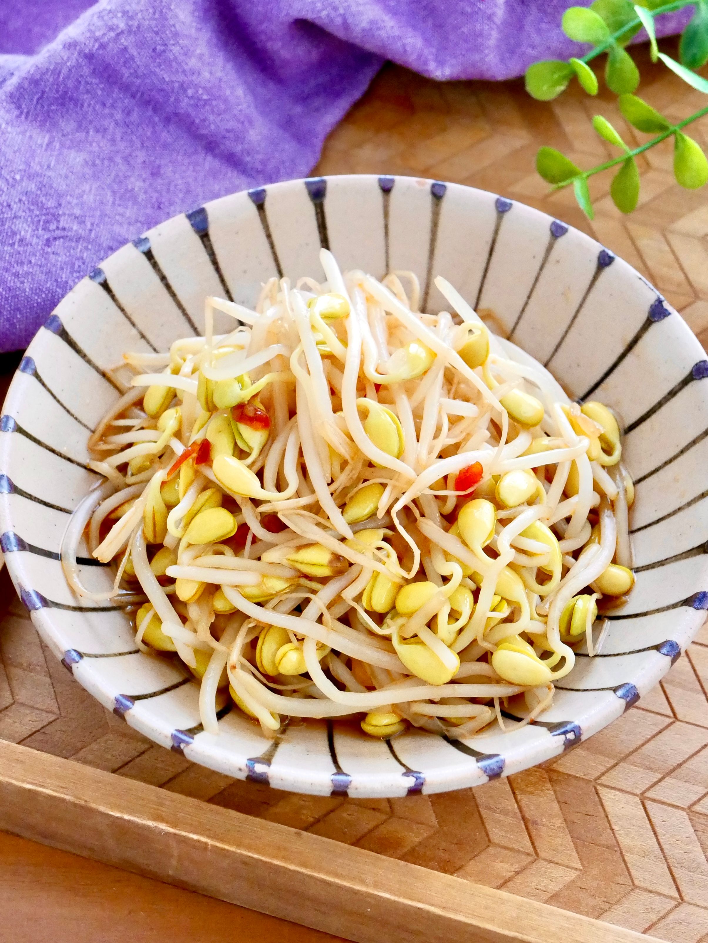 もやし 辛いのに止まらない！もやしのスパイシー酢漬け♪5分レシピ | レシピ