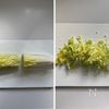 【うま味を活かす♪】塩揉み白菜と米粉のお好み焼の工程1