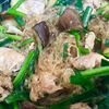 ゆかりの作ってみた!投稿(【ナス豚チャプチェ】パパっと切り入れワンパン♪包丁いらずで!)
