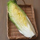 白菜の保存方法は?|美味しい白菜の選び方や大量消費のレシピなど