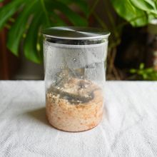 完全無添加【白だし麹】冷たい麺におすすめ♡5分で簡単✨