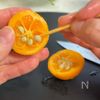 苦味を抑えた 金柑の甘露煮の下準備