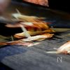 すぐ、おいしい。夏の定番『うま辛つけそうめん』の工程6