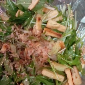 鶏皮坊主の作ってみた!投稿(【水菜とサクサク油揚げのサラダ】5分で完成！あともう一品！)