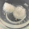 レンジで完結!【ニラ玉春雨】の工程2