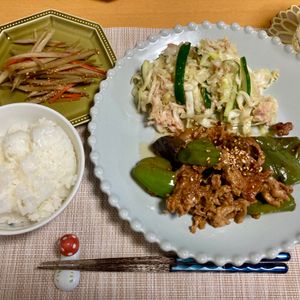 たぁプーの作ってみた!投稿(【照りとろ♡なす回鍋肉】ご飯との相性抜群ながっつりおかず!!)