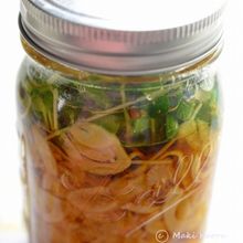亜麻仁油で食べる新玉ドレッシング