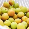 お手軽に白梅干しの下準備