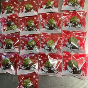 そら・ゆずの作ってみた!投稿(バター不使用☆米粉×米油の抹茶スノーボールクッキー！)
