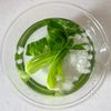 【お手軽食材で！】豚こまと厚揚げのお手軽ルーローハンの工程1