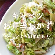 「キャベツのお弁当おかず」30選｜メインにも副菜にも！