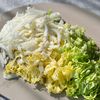 白菜浅漬け　もんで置くだけ♪即席さっぱり味の工程1
