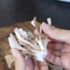 ハマる!【鮭ときのこのめんつゆバター】の工程1