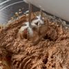 【豆腐と米粉のショコラカステラで作るクリスマスケーキ】の工程5