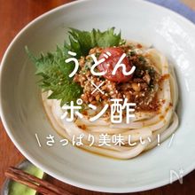「うどん×ポン酢」23選｜さっぱり美味しい！