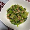 伊藤烏帽子の作ってみた!投稿(【小松菜のツナみそ和え】5分で完成！ごはんがすすむ！)