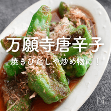 旬の味！「万願寺唐辛子」人気レシピ｜簡単な焼きびたしや炒め物、煮物におつまみも！