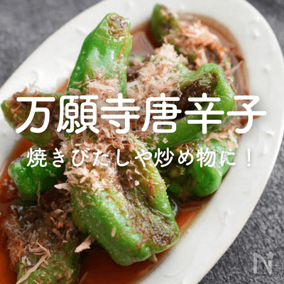 旬の味！「万願寺唐辛子」人気レシピ｜簡単な焼きびたしや炒め物、煮物におつまみも！