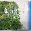 milkの作ってみた!投稿(【始末の料理に冷凍を】大根の葉冷凍)