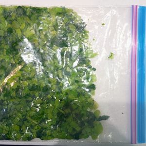 milkの作ってみた!投稿(【始末の料理に冷凍を】大根の葉冷凍)