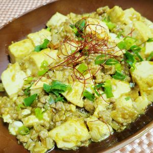ヴェルの作ってみた!投稿(暑い日に食べたい☀️【カレー麻婆豆腐】)