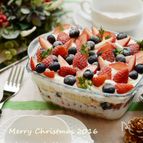 クリスマス☆スコップケーキ