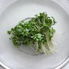〈サーモンバジル丼〉買ってきたお刺身をちょこっとアレンジ♪の工程3