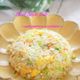 簡単で本格的！アミエビとネギのパラパラ塩炒飯☆