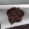 生姜香る☆大人のスパイシーチョコマフィン。の下準備