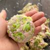旬を楽しむ!春キャベツカツの工程4