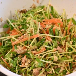 こざかなの作ってみた!投稿(面倒な水切り不要！【豆苗とにんじんの白和え】)
