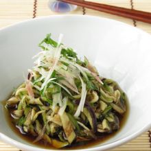 薬味たっぷり夏の味
千切り茄子のだしびたし