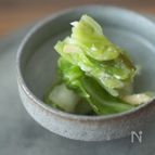 春キャベツと塩麹の浅漬け